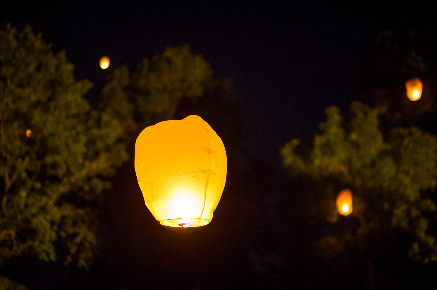 mariage manoir de mon pere skylantern